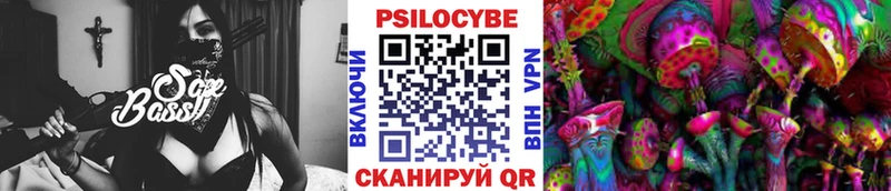 mega как зайти  Пустошка  даркнет телеграм  Галлюциногенные грибы Psilocybe 